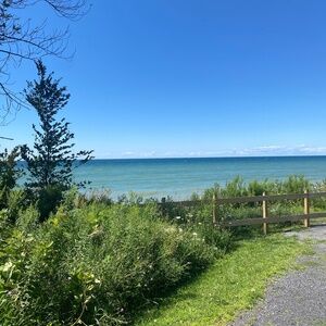 Meet your Posher, Gina